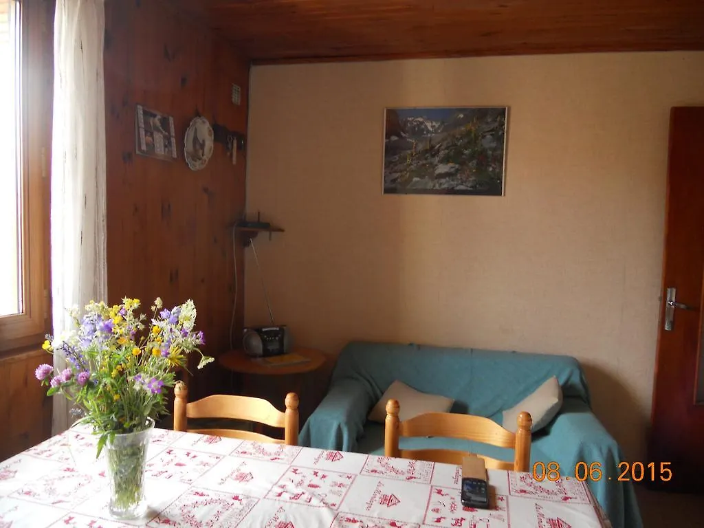 Perce Neige Apartment Puy-Saint-Vincent 0*,